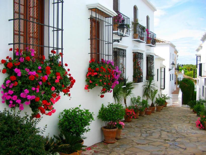 Hills * Marbella